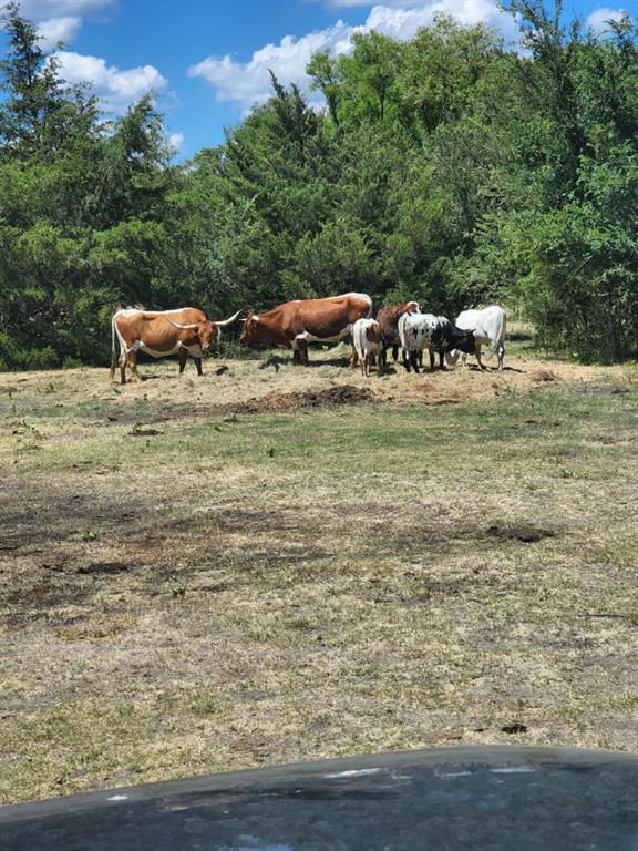 Brian Estates - Land