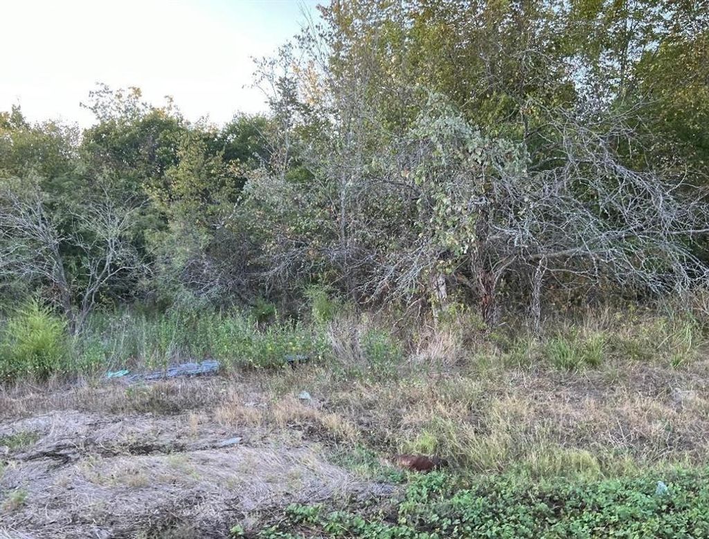 Photo of 305 Fm 637, Corsicana, TX 75109 (MLS # 21251719)