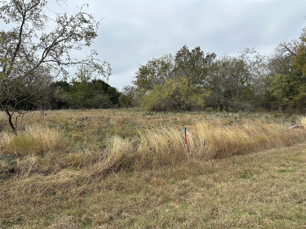 White Bluff #14 - Land