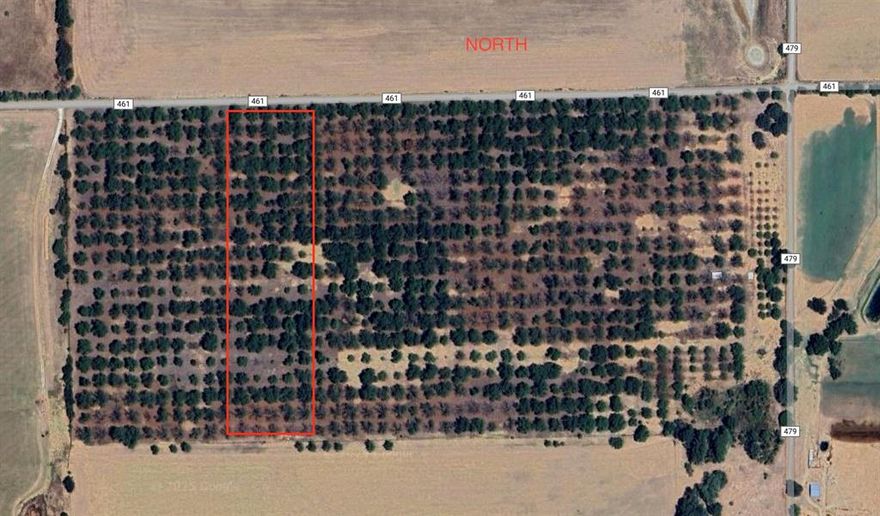 Welcome to The Orchard Crossing! Beautiful and unique tract of land in the Comanche county. Tract 6 offers 10.3 acres of a pecan orchard perfect to build your dream home, leisure, or investment. Water well on site and electric running along the property. Only restriction is no permanent mobile homes.
