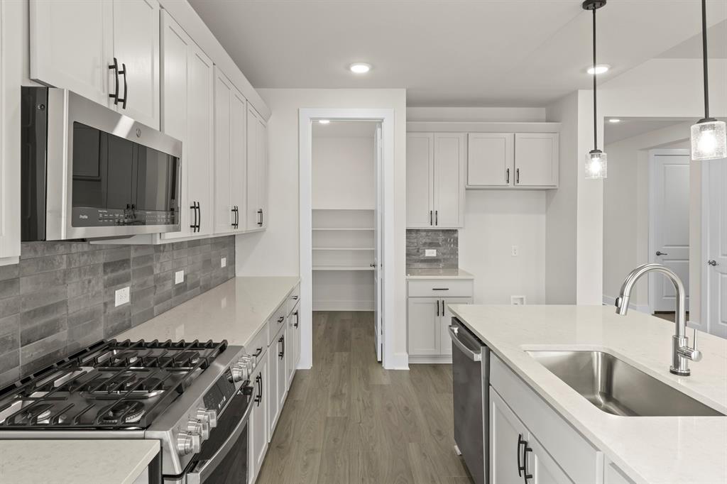 Discovery Collection at Painted Tree - Residential