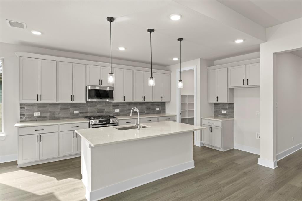 Discovery Collection at Painted Tree - Residential