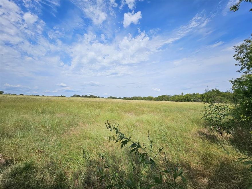 Looking to build a development or just your own peace of paradise next to Lake Whitney? This lot is perfect for you! Lot 4 and 5 can be combined to be sold together for a whopping 18 acres! Inquire today to get a copy of the restrictive covenants and see if this is the right property for you!