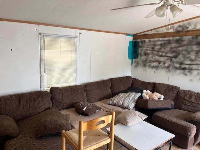 425 Stompede Road