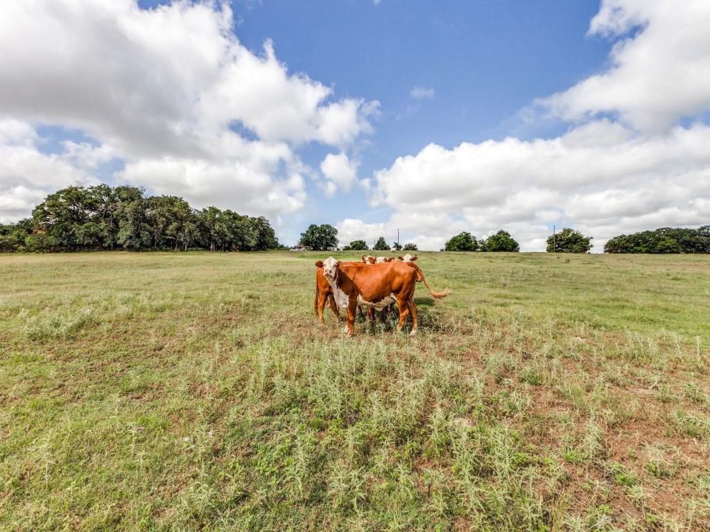 Jm Suddeth Surv - Farm