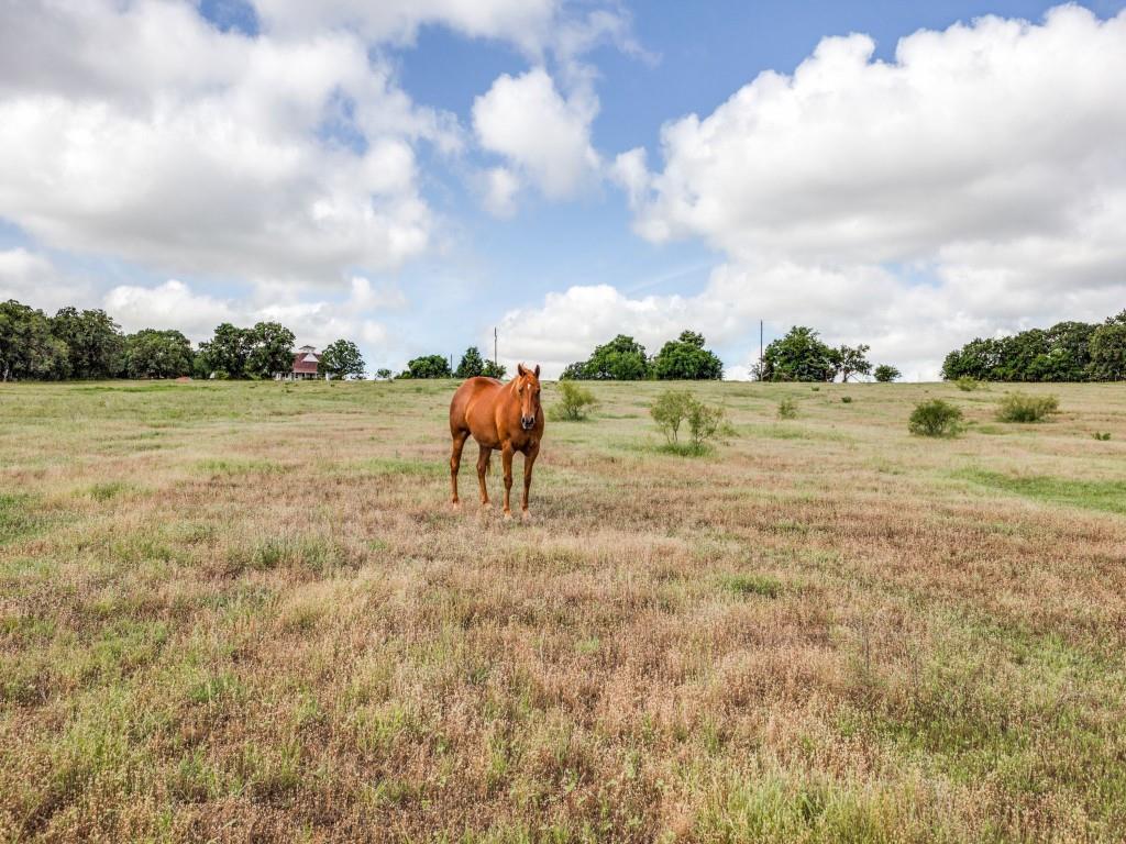 Jm Suddeth Surv - Farm