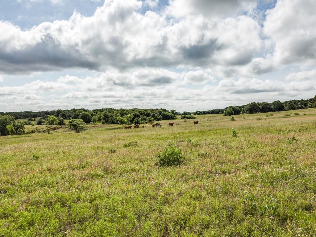 Jm Suddeth Surv - Farm