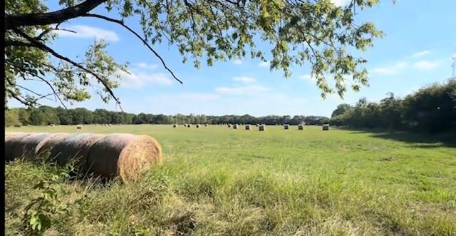 W C Wilson Surv Abs #1330 - Land