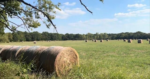 W C Wilson Surv Abs #1330 - Land