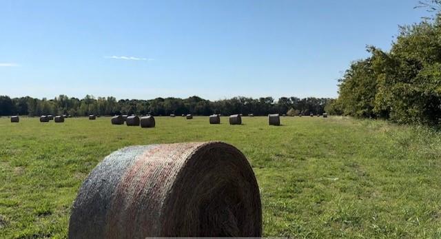 W C Wilson Surv Abs #1330 - Land