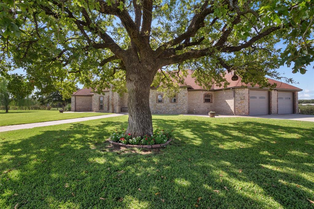 TBD FM 1810 58 Acres