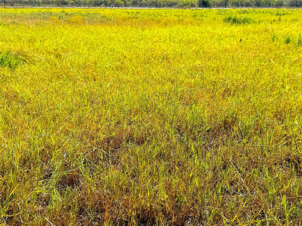 T & Prr Co Suvey Abs #340 - Land