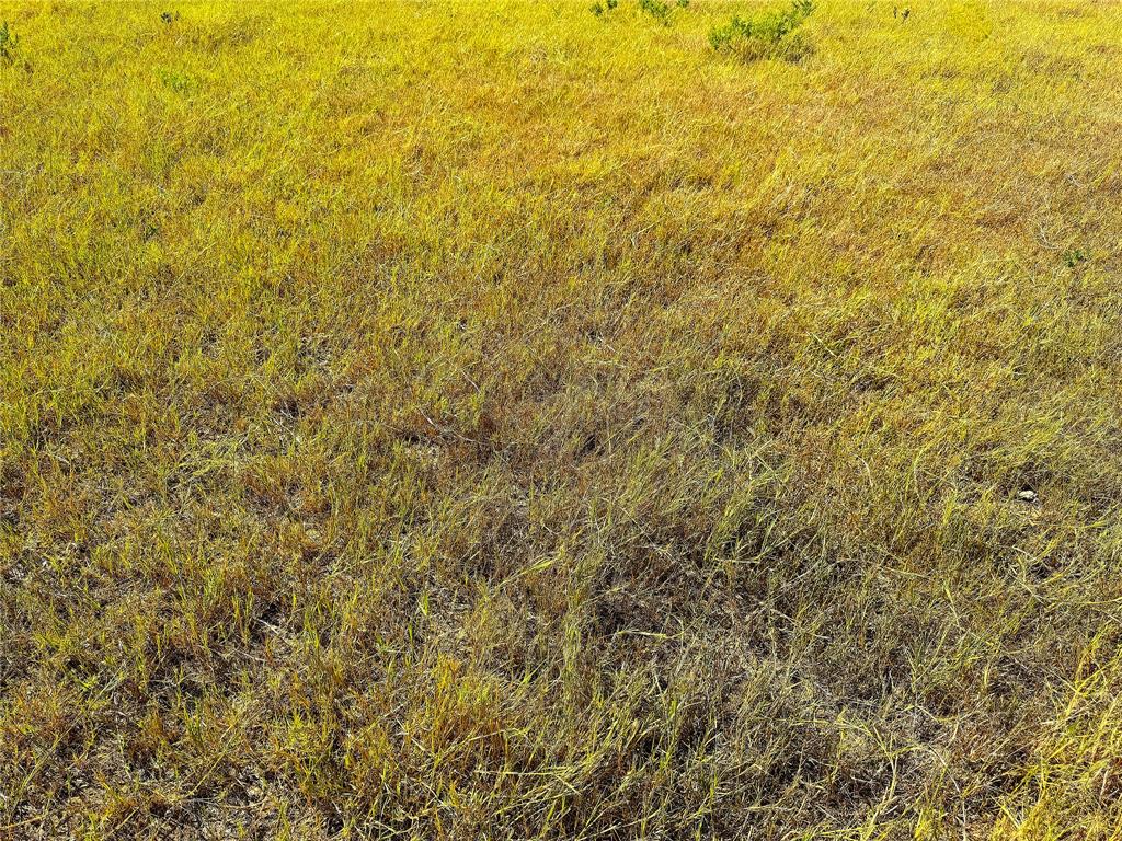 T & Prr Co Suvey Abs #340 - Land