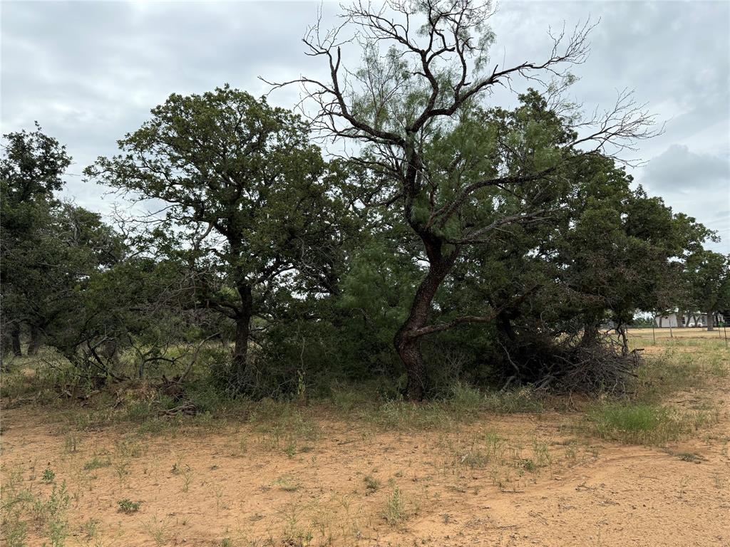 Legacy Estates Brownwood - Land