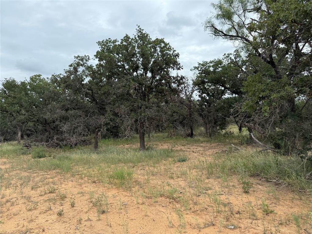 Legacy Estates Brownwood - Land