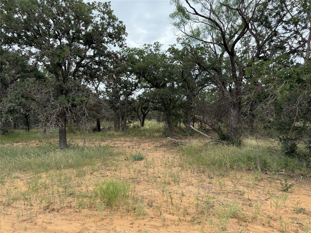 Legacy Estates Brownwood - Land