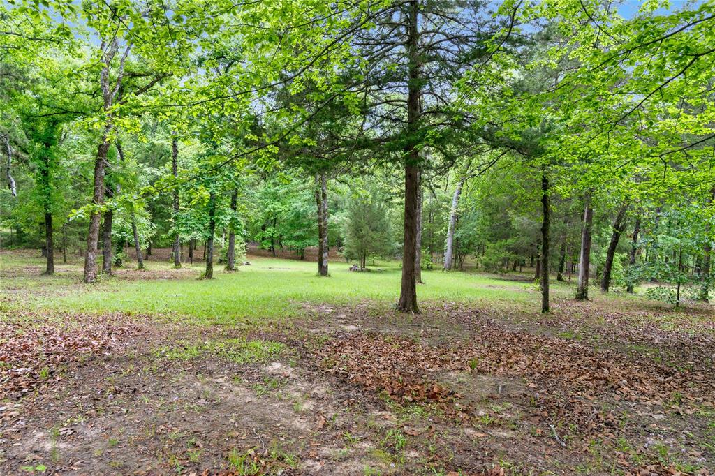 Spring Creek - Residential