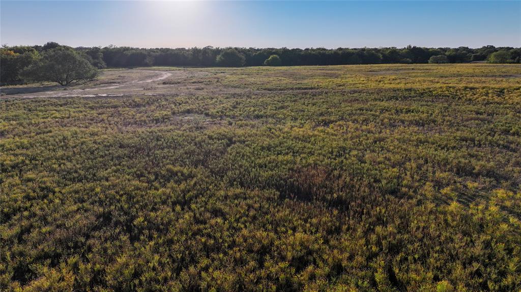 BBB & C RR CO & Thomas Survey - Farm