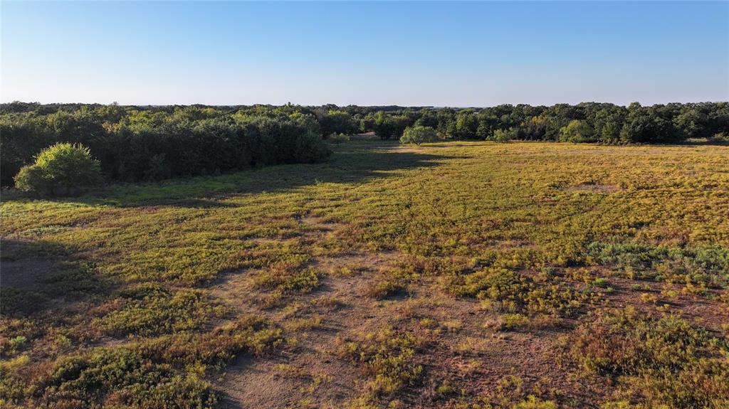 BBB & C RR CO & Thomas Survey - Farm