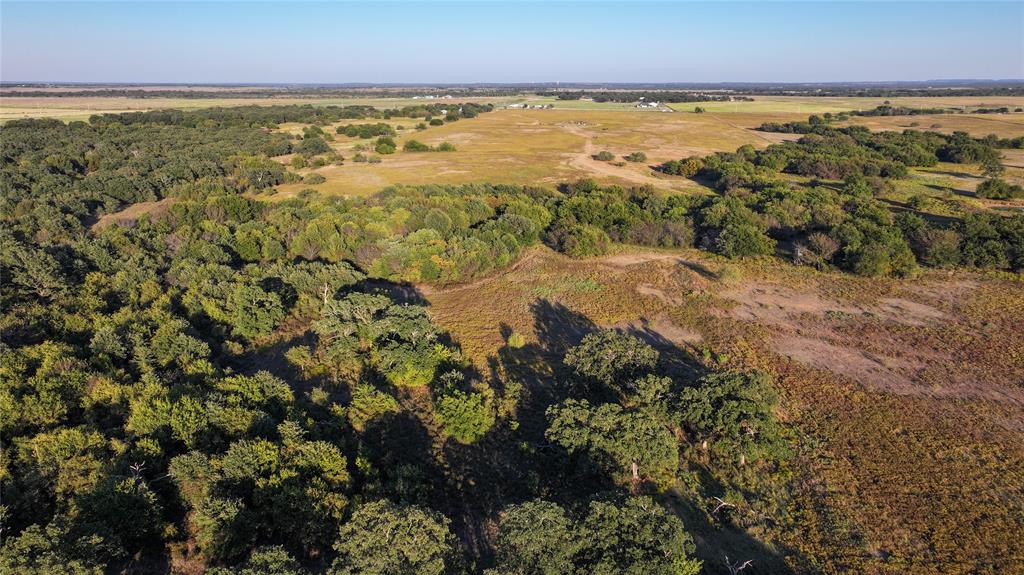 BBB & C RR CO & Thomas Survey - Farm