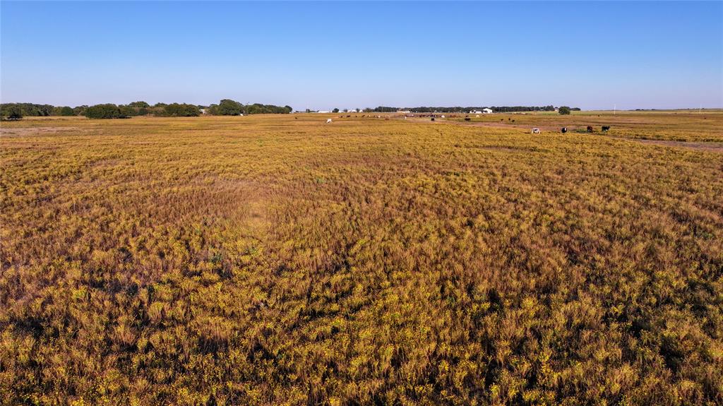 BBB & C RR CO & Thomas Survey - Farm