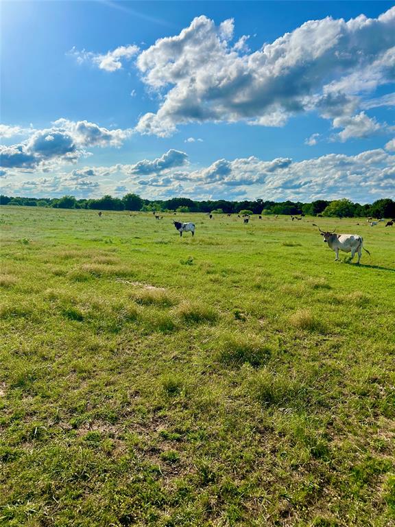 BBB & C RR CO & Thomas Survey - Farm