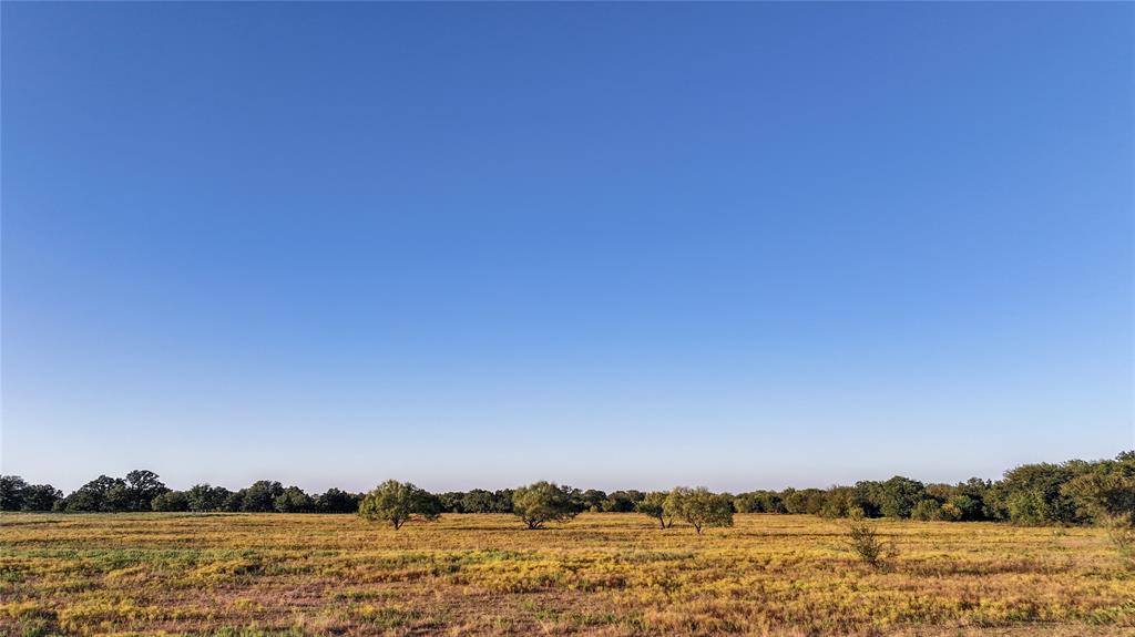 BBB & C RR CO & Thomas Survey - Farm