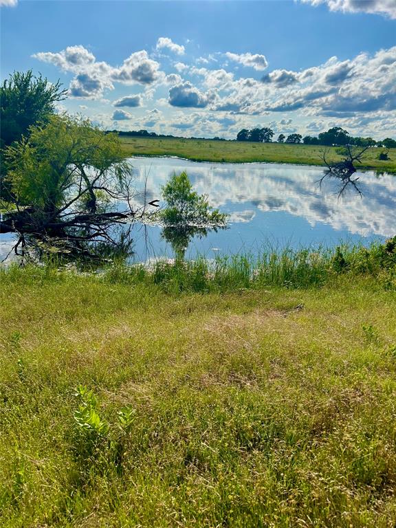 BBB & C RR CO & Thomas Survey - Farm