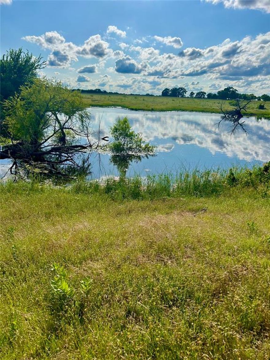 Every family legacy begins somewhere, this one begins in Nocona. Spanning approximately 104-+ acres, this beautiful stretch of Texas countryside offers a rare opportunity to build something lasting, whether it is a working cattle ranch, private estate or long term investment. This property is currently agricultural exempt and used for cattle, this property combines functionality, income potential, and undeniable natural beauty. A creek winds through the back portion of the property along with an established stock pond. The back portion is also aligned with mature trees, creating a scenic backdrop and shaded grazing areas. The property features frontage along a paved Farm to Market road, offering the potential to install a private entrance for direct access. Electrical poles run along the highway providing a nearby reference point for potential utility planning. The land's terrain and openness makes it versatile for expansion, a custom build site, or continued agricultural use. The seller plans to retain adjoining acreage and has intentions of building a private access road along the side of this tract for their personal use, leaving your property's layout intact and private. Additionally, the seller may consider including more acreage for buyers looking to grow their footprint. Located near Nocona, you will find conveniences of small town living, local restaurants, boutique shopping, and the charm of a welcoming community known for its rich cowboy culture and friendly spirit. Whether you're looking for a solid investment, a family homestead, or a place to slow down and breathe under the open Texas sky, this land is ready to carry your vision forward. Information deemed reliable, but not guaranteed. Buyer and buyer's agent to verify all information, including, but not limited to acreage, availability of utilities, restrictions and property boundaries prior to purchase.