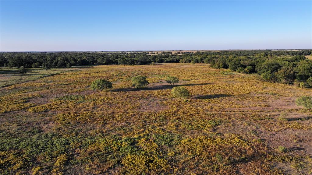 BBB & C RR CO & Thomas Survey - Farm