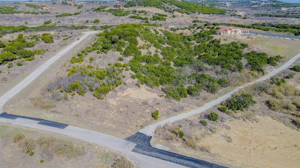 Lot 1038-R Cinnamon Teal