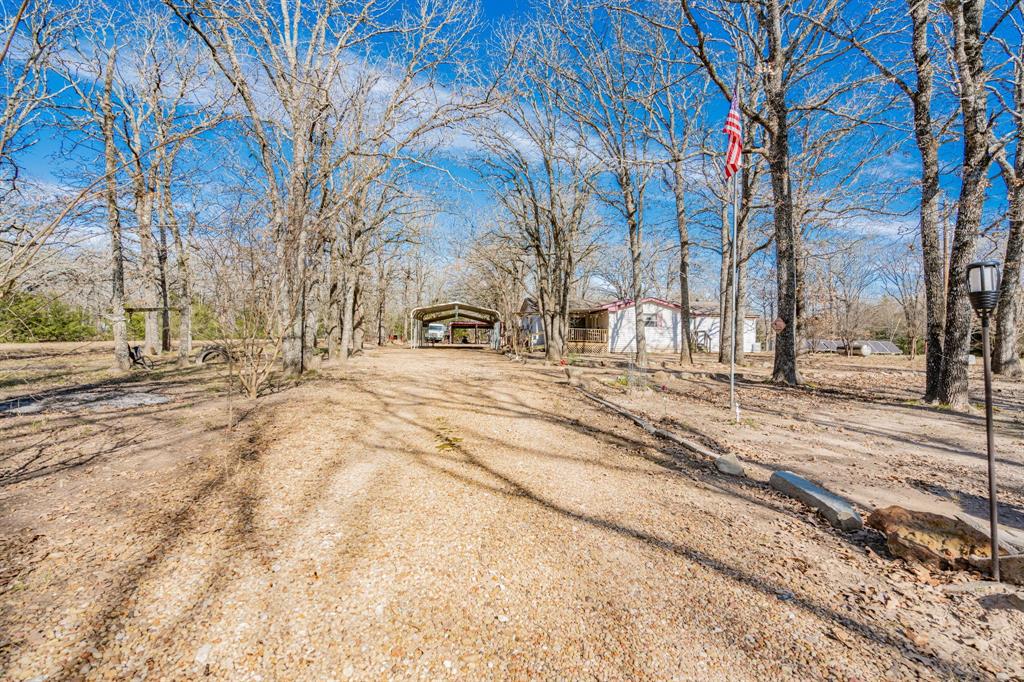 31724 Cane Drive