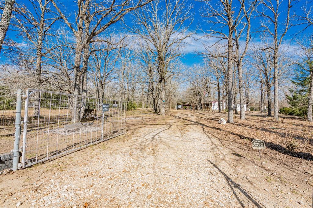 31724 Cane Drive