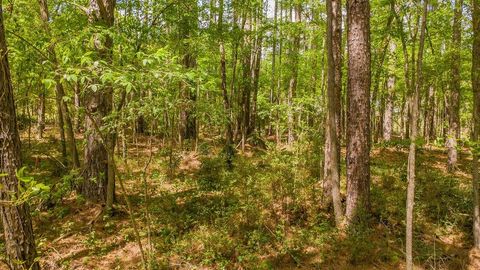 Photo of 1723 Pineview Lane, Hideaway, TX 75771 (MLS # 21225535)