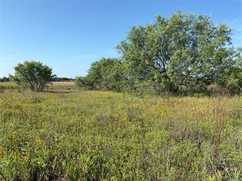 16 Acres TBD FM 571