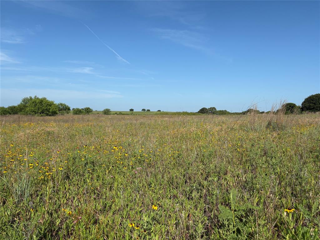 16 Acres TBD FM 571