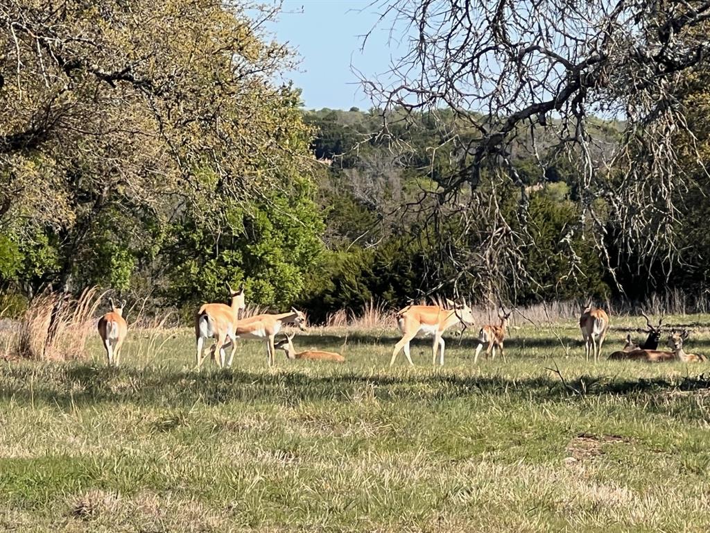 235 Private Road 2124