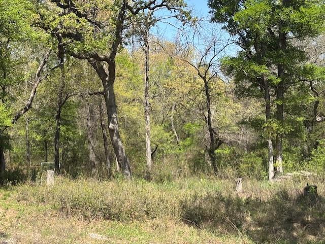 Eagles Bluff Ph 2 - Land