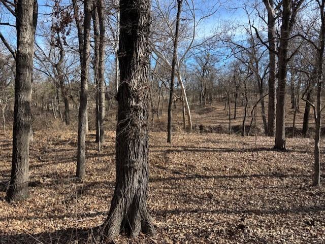 Eagles Bluff Ph 2 - Land