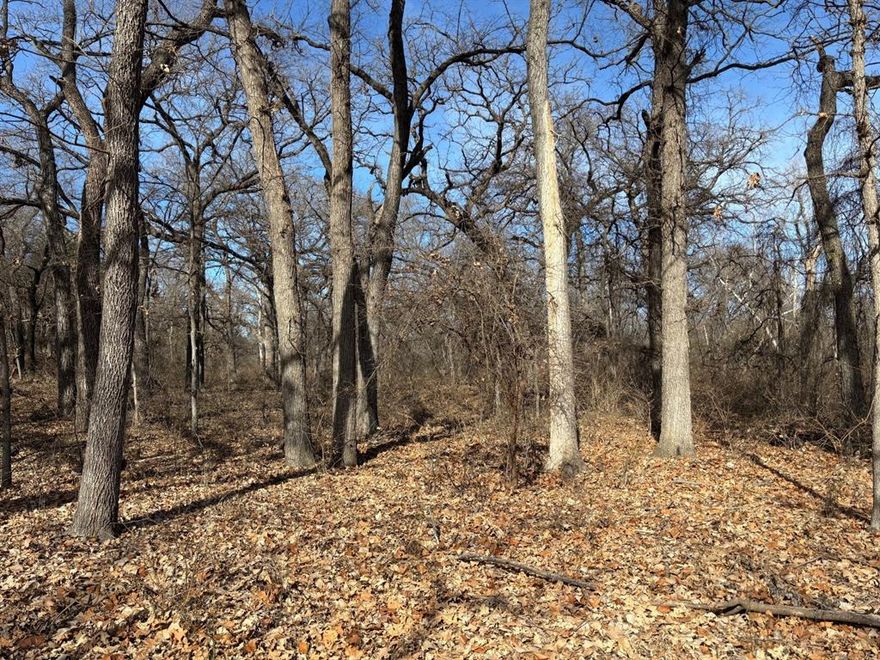 Nestled at the end of a quiet cul-de-sac, this 6.02-acre property offers unparalleled peace and privacy. Tucked away from the hustle and bustle, it provides a serene, tranquil setting, ideal for building your custom home. With no through traffic, the location offers a secluded environment of mature trees, natural beauty and wildlife plus a creek running through the back of the property. The end-of-cul-de-sac positioning adds an extra layer of exclusivity, making this expansive lot a rare find. Located in the prestigious Brock ISD in the gated Eagles Bluff Community you can enjoy both seclusion and easy access to the surrounding amenities. Located near restaurants, shopping and entertainment in Brock, Weatherford and the DFW area. Come out and experience the beauty and peace of the Eagles Bluff Community.