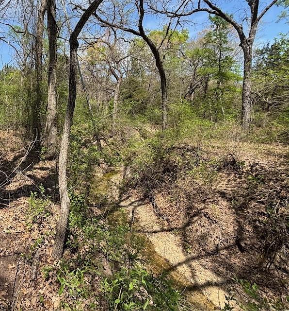 Eagles Bluff Ph 2 - Land