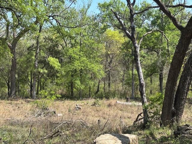 Eagles Bluff Ph 2 - Land