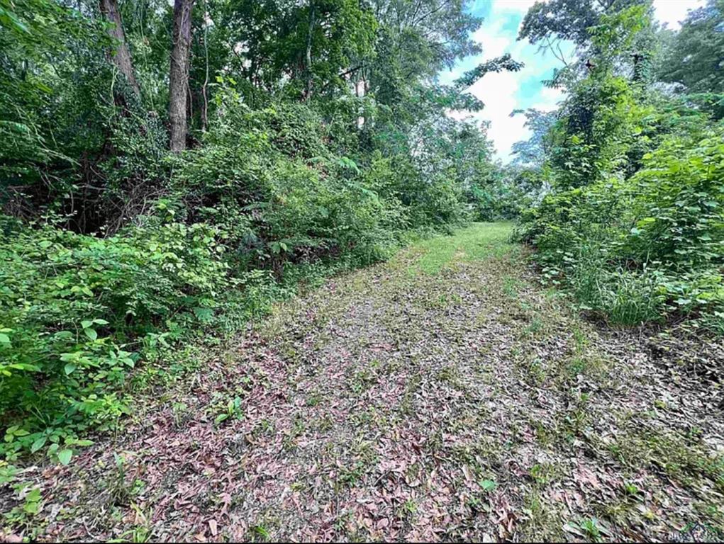 S279 - OLD TOWN (GILMER) S279 (A3,A200) - Land