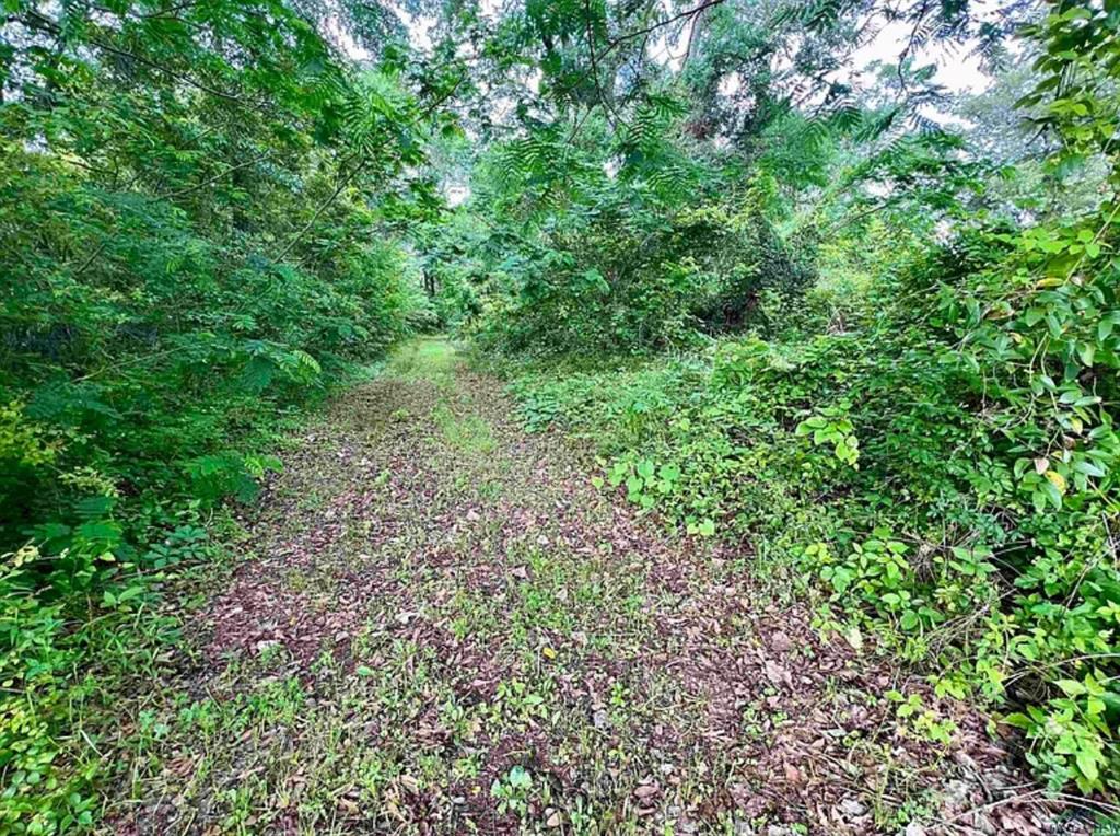 S279 - OLD TOWN (GILMER) S279 (A3,A200) - Land