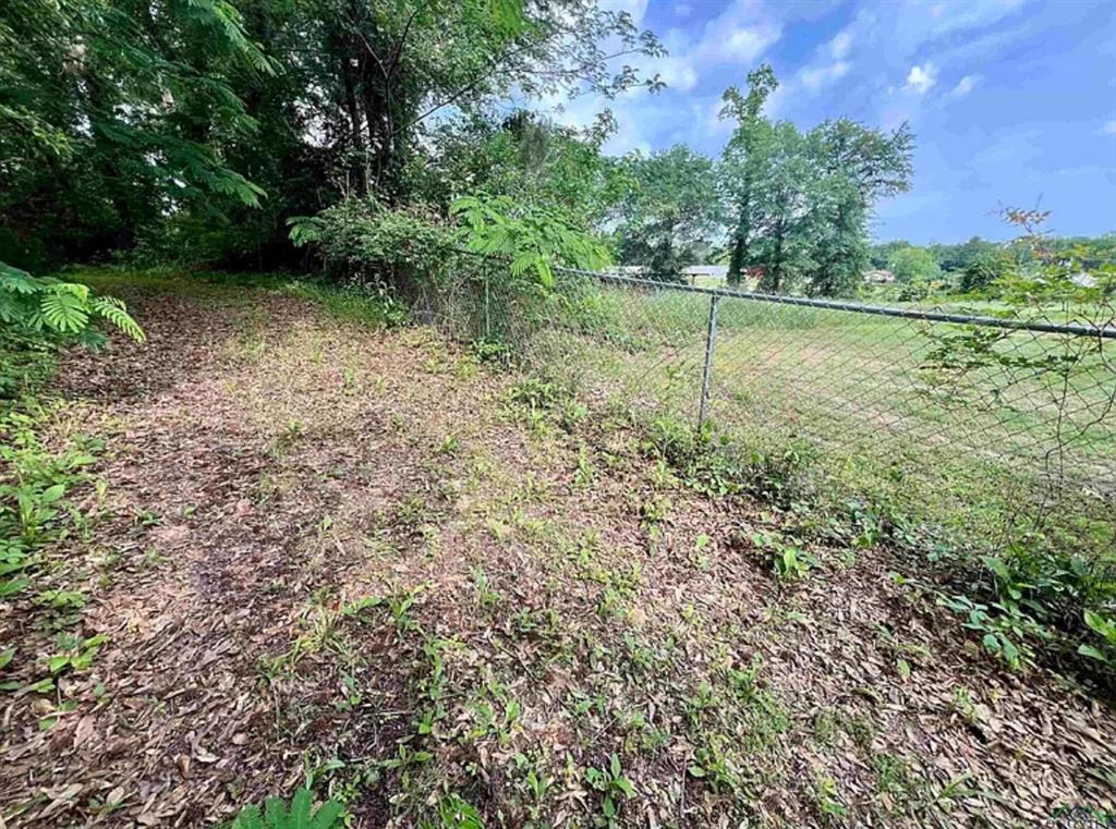 S279 - OLD TOWN (GILMER) S279 (A3,A200) - Land