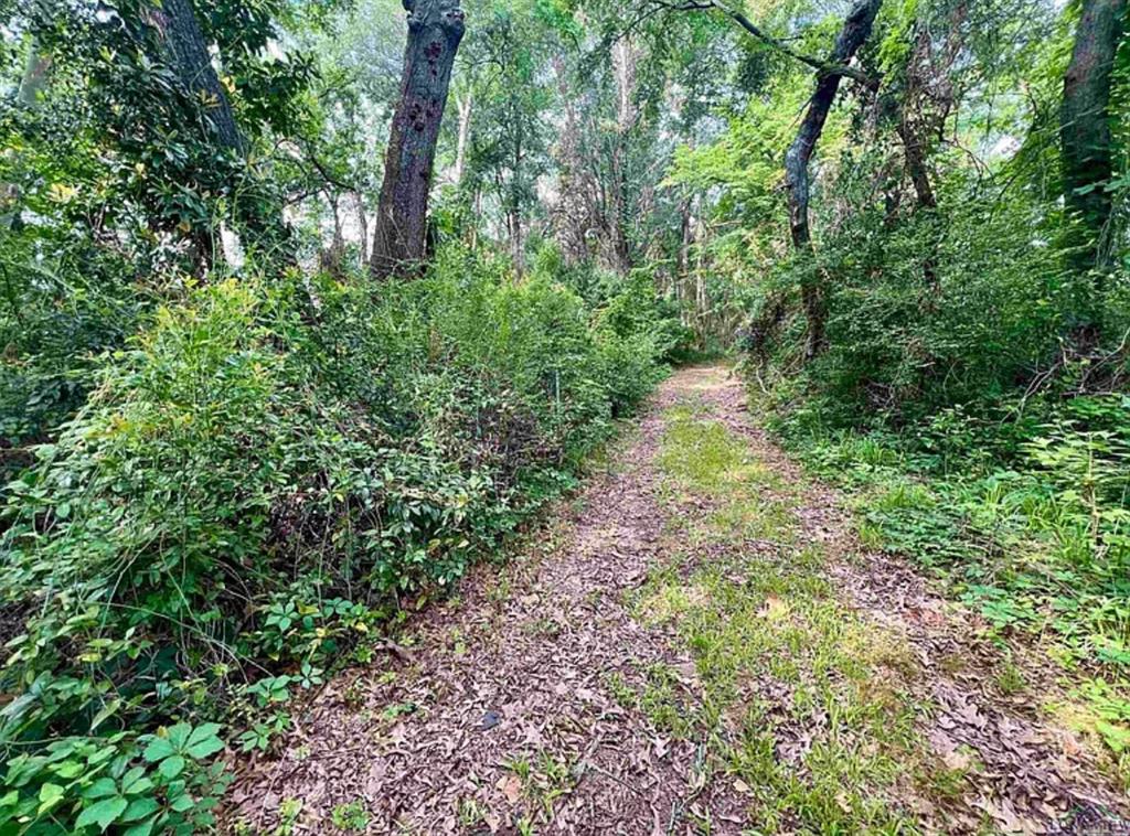 S279 - OLD TOWN (GILMER) S279 (A3,A200) - Land