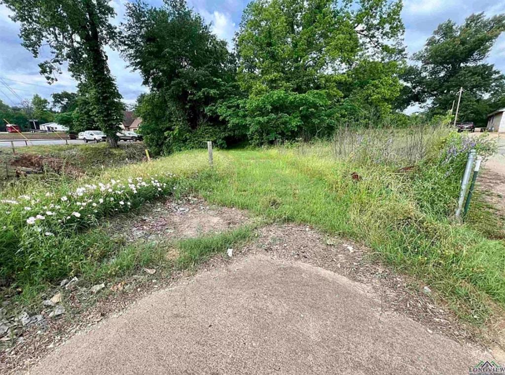 S279 - OLD TOWN (GILMER) S279 (A3,A200) - Land