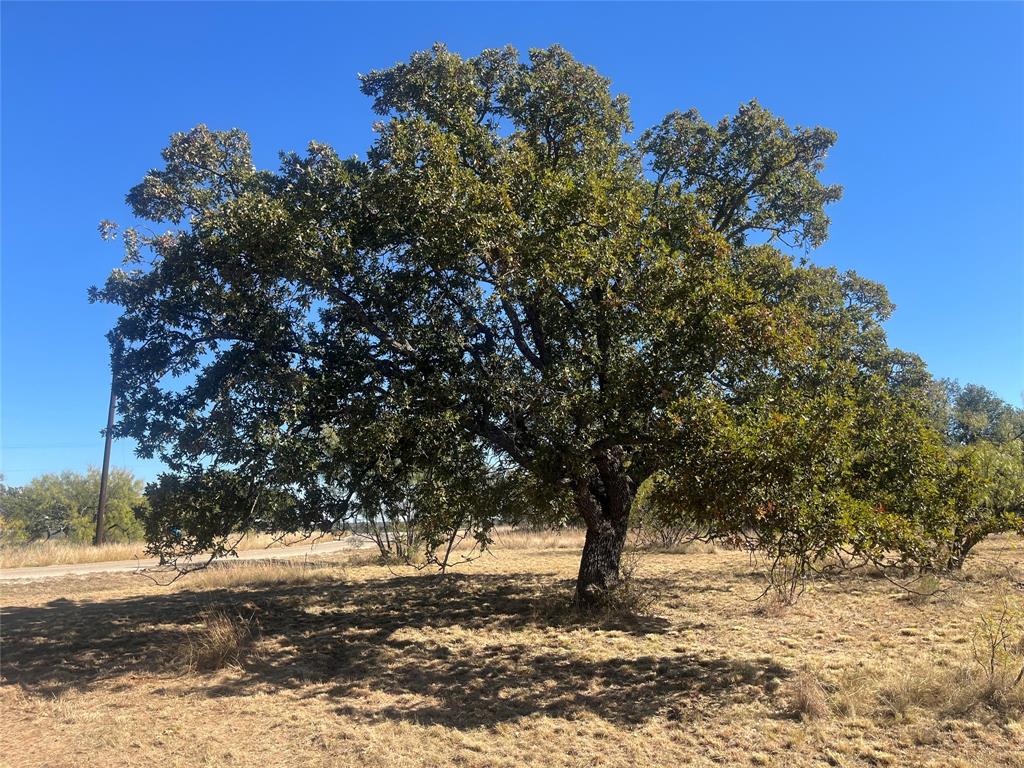 Kings Point Cove Unit 1 - Land