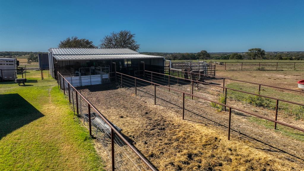 Henery Brittle Sure A-81 - Farm