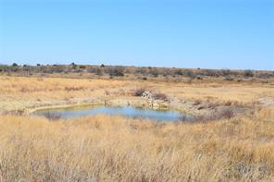Looking for a secluded place to get away?  This remote property in Runnels County is truly a hunter’s dream with abundant deer populations & a wide variety of soil, grasses, & forbes.  Bordering the south side of the Colorado River Authority’s wildlife reserve and profiting from excellent soil & grass conservation, the land is ready to enjoy.  The Lake Ivie Water Supply line to Abilene runs through the property and is a permanent source or supplemental water on drought years.  Surface water is available in abundance in good years.  There is also a three-bedroom two bath modular home for sleeping quarters.  This Texas land is priced right to have investment security & equity.